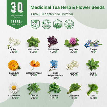 Organo Republic 25 Edible Flower Seeds Variety Pack for Indoor Outdoor Gardening - 8,000+ Non-GMO Heirloom Flower Seeds: Anise, Hyssop, Nasturtium, Pansy, Echinacea, Lavender, Chives & More
