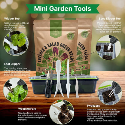 Organo Republic 15 Lettuce & Greens and 25 Winter Vegetable & Herb Seeds Variety Pack Bundle, 29,475+ Non-GMO Heirloom Garden Seeds for Planting Vegetables and Herbs for Indoor & Outdoor Gardening