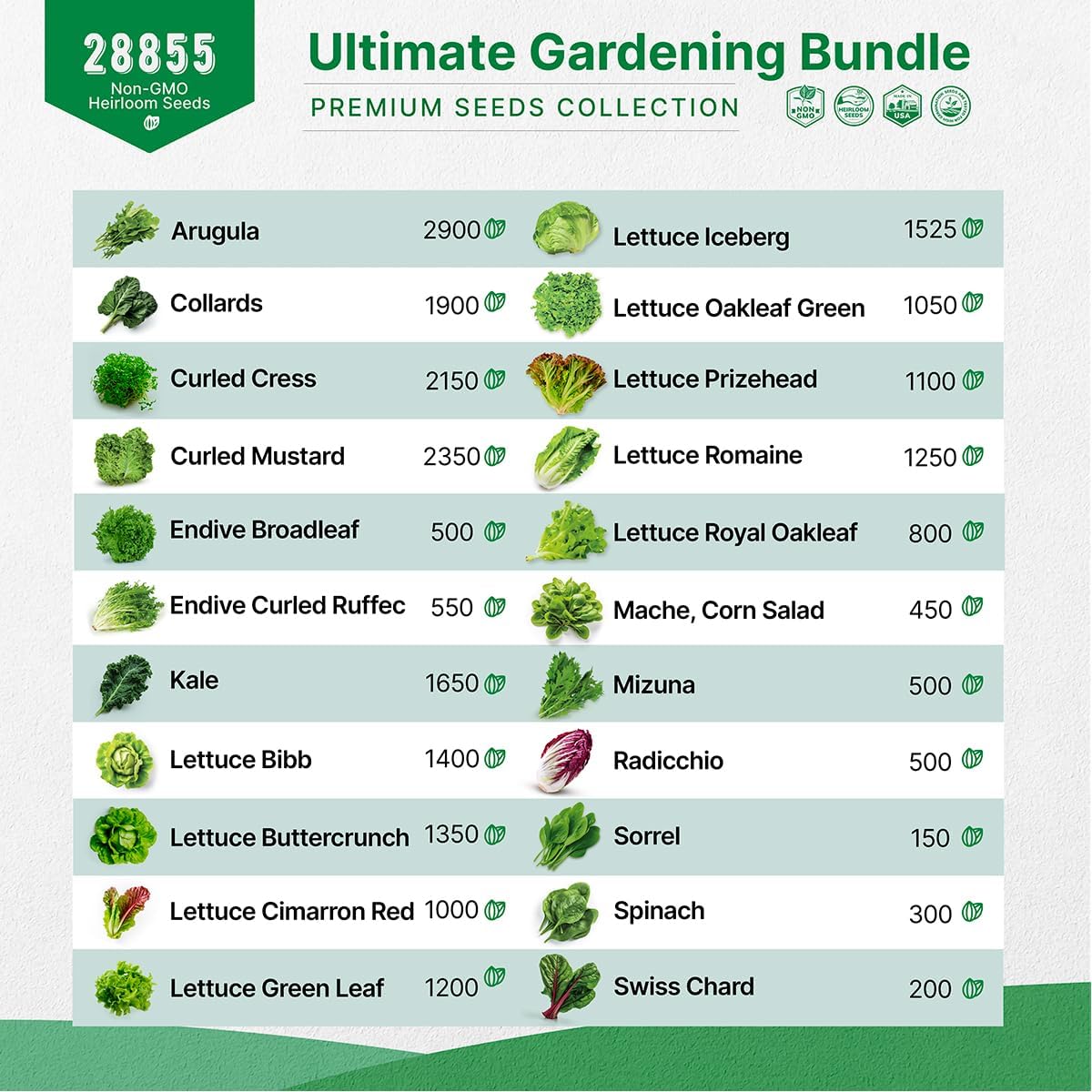 Organo Republic 12 Radish and 22 Lettuce & Salad Greens Seeds Variety Pack Bundle, 27,100+ Non-GMO Heirloom Garden Seeds for Planting Radishes, Lettuce, and Salad Greens for Indoor & Outdoor Gardening