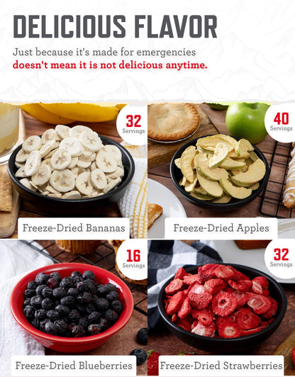 ReadyWise Emergency Food Supply - 120 Servings Favorites Sample Bucket, Survival Food Kit, Freeze Dried Prepper Food & Dehydrated Meals for Camping Essentials & Backpacking, up to 25 Year Shelf Life