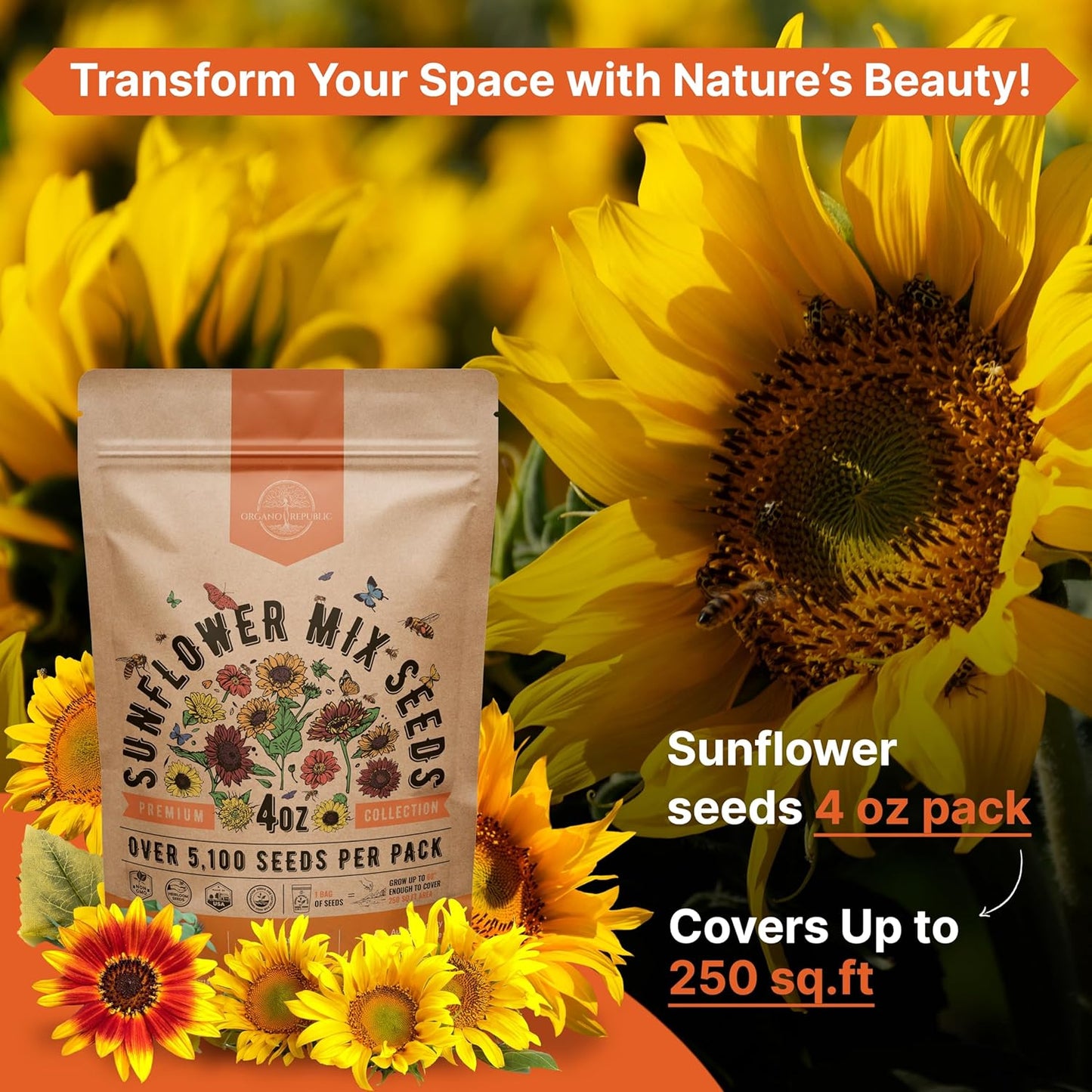 Marigold Seeds Pack 1 oz - Over 9,250 Non-GMO Heirloom Marigold Seeds for Planting Indoor & Outdoor Gardening, Flower Seed for Planting Home and Garden, Flowers Seed in Individual Packet