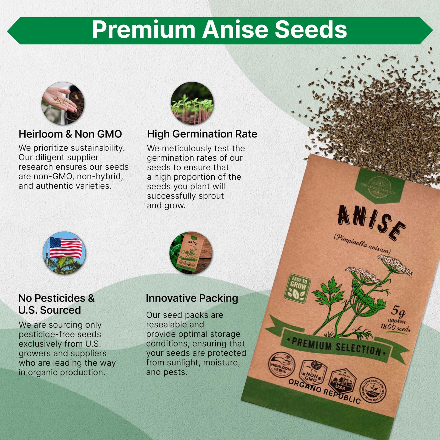 White Yarrow Seeds Pack 0.25 G - Over 2000 Non-GMO Heirloom Yarrow Seeds for Planting Herbs in Individual Seed Packet, Herbs Seeds for Planting Home Garden Indoor & Outdoor Gardening
