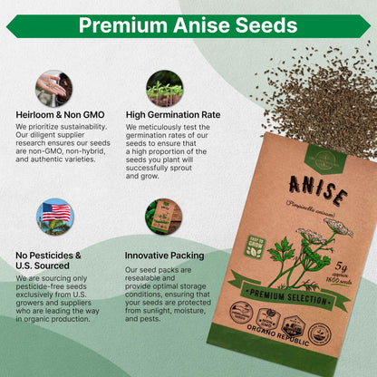 White Yarrow Seeds Pack 0.25 G - Over 2000 Non-GMO Heirloom Yarrow Seeds for Planting Herbs in Individual Seed Packet, Herbs Seeds for Planting Home Garden Indoor & Outdoor Gardening