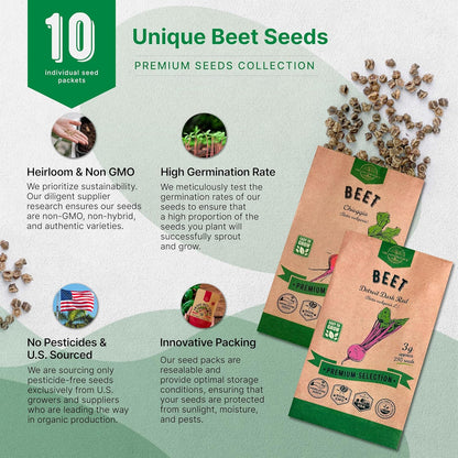 Organo Republic 8 Onion Seeds Variety Pack Heirloom, Non-GMO, Sets for Indoors, Outdoors Gardening. 2200+ Seeds: Walla Walla, Green Onion, Red Burgundy, White & Yellow Sweet Spanish Onions