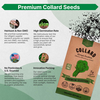 Onion Walla Walla Seeds Pack 1G - Over 275 Non-GMO Heirloom Onion Seeds for Planting Vegetables in Individual Seed Packet, Vegetable Seeds for Planting Home Garden Indoor & Outdoor Gardening