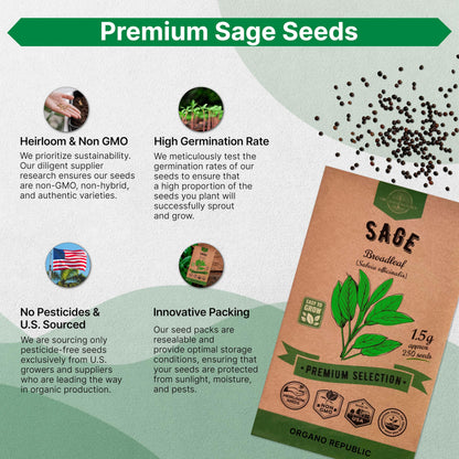 White Yarrow Seeds Pack 0.25 G - Over 2000 Non-GMO Heirloom Yarrow Seeds for Planting Herbs in Individual Seed Packet, Herbs Seeds for Planting Home Garden Indoor & Outdoor Gardening