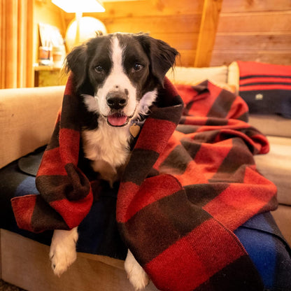 Arcturus Red Buffalo Wool Blanket and Carry Straps Bundle