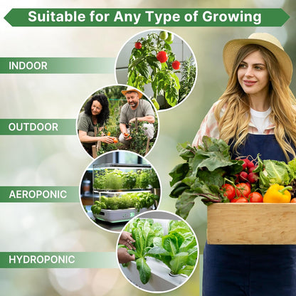 Thyme Seeds Pack 0.5 G - Over 1,350 Non-GMO Heirloom Thyme Seeds for Planting Herbs in Individual Seed Packet, Herbs Seeds for Planting Home Garden Indoor & Outdoor Gardening