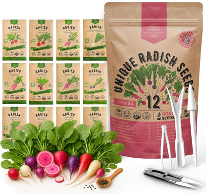 Organo Republic 8 Onion Seeds Variety Pack Heirloom, Non-GMO, Sets for Indoors, Outdoors Gardening. 2200+ Seeds: Walla Walla, Green Onion, Red Burgundy, White & Yellow Sweet Spanish Onions
