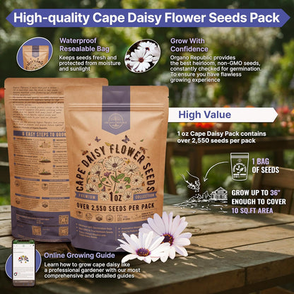 Marigold Seeds Pack 1 oz - Over 9,250 Non-GMO Heirloom Marigold Seeds for Planting Indoor & Outdoor Gardening, Flower Seed for Planting Home and Garden, Flowers Seed in Individual Packet